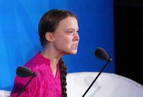 Climate activist Greta Thunberg detained at demonstration in The Hague