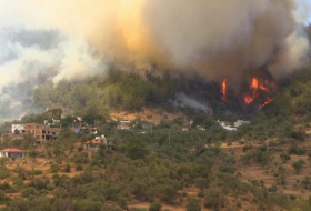  Locals scramble to escape south Turkey wildfires -  NO COMMENT  