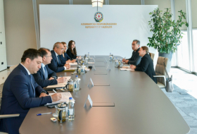 Azerbaijan, UNDP discuss co-op opportunities within COP29