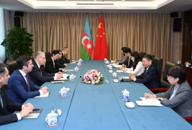 Azerbaijan, China to cooperate in eco-environmental protection