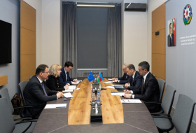   Rashad Nabiyev meets with EU Special Representative for Central Asia  