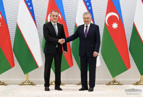 New directions of cooperation between Azerbaijan and Uzbekistan discussed