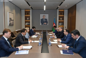 Azerbaijani FM receives special representative of European Union
