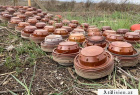 Assistance to Azerbaijan in field of mine clearance discussed in Geneva 