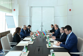 Azerbaijani FM holds meeting with his Lebanese counterpart
