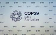   Azerbaijan unveils COP29 logo  