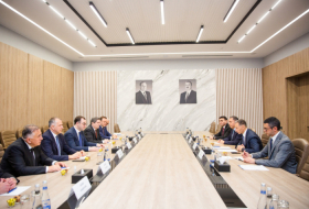 Azerbaijan, Georgia discuss cooperation in transport and ICT sectors