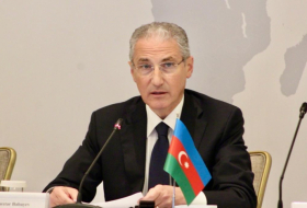 Azerbaijan eyes for sustainable development potential of green economy - minister
