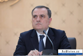 Azerbaijani foreign minister leaves for Gambia