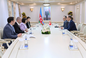 Speaker of Milli Majlis receives Ambassador of Swiss Confederation in Azerbaijan