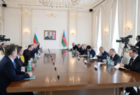   Azerbaijani and Bulgarian presidents hold expanded meeting   