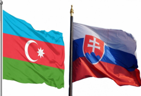 Azerbaijan and Slovakia sign MoU 