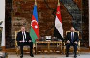   Presidents of Azerbaijan and Egypt hold one-on-one meeting  