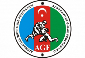 Azerbaijani freestyle wrestlers to compete in Iran tournament