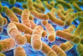 Gene that makes bacteria resistant to last-resort antibiotics found in China