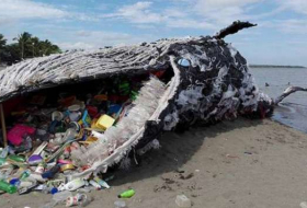 Another dead whale is grave reminder of our massive plastic problem  