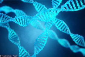 Humans will be genetically modified for the first time in Europe