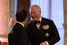 Commonwealth nations choose Prince Charles as next head