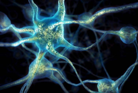 Elderly people grow as many new brain cells as young, study finds