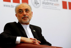 Iran says Europe's support for nuclear deal not enough  