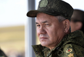 IS defeated in Syria with Russia's support — defense minister