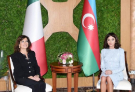 First VP Mehriban Aliyeva meets President of Italian Senate
