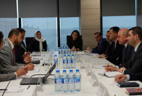   Azerbaijan, Saudi Arabia discuss ways of expanding energy cooperation  