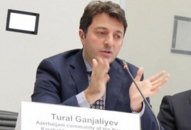   “Representative” of illegal regime in Karabakh harms negotiations: Ganjaliyev  