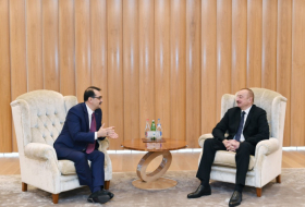 President Ilham Aliyev receives Turkish energy minister
