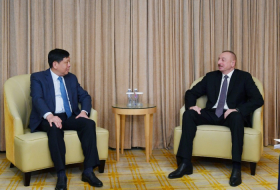  President Aliyev meets with director general of CETC International Corporation 