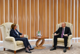  President Ilham Aliyev receives Deputy Secretary General of the CoE -  UPDATED