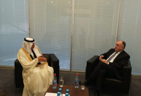   Azerbaijani Foreign Minister meets Secretary General of OIC  