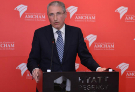   Minister of Ecology and Natural Resources meets AmCham Azerbaijan members  