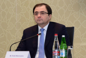   Azerbaijan invites Czech companies to set up joint ventures in agriculture & energy  