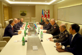  Azerbaijani defense minister meets Turkish counterpart 