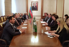   Azerbaijani FM meets delegation led by vice-speaker of Turkish parliament  