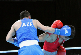   11 boxers to represent Azerbaijan at 2nd European Games in Minsk  