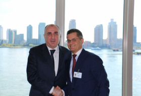 Azerbaijani FM meets with CIRSD president