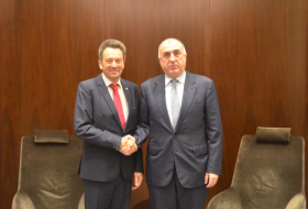  FM Mammadyarov: ICRC main partners of Azerbaijan in humanitarian field 
