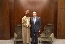 Azerbaijani FM meets President of the UN General Assembly 