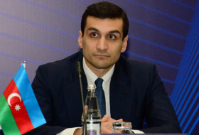   “Interaction between Azerbaijani, Russian business councils reached new level”  