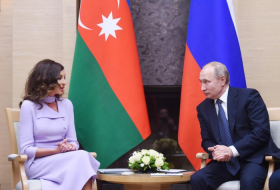  First Vice-President Mehriban Aliyeva meets with Russian President Vladimir Putin - UPDATED