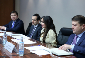  VP of Heydar Aliyev Foundation Leyla Aliyeva holds bilateral meetings in Moscow 