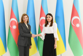  First VP Mehriban Aliyeva meets Ukraine's first lady Elena Zelenskaya 