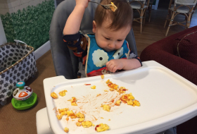       Why do babies throw their food plates?-   iWONDER    