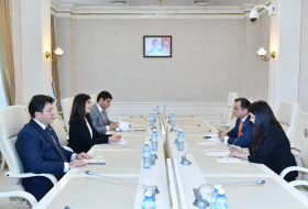  Charge d'Affaires of Spanish embassy in Azerbaijan meets with Azerbaijani MPs
