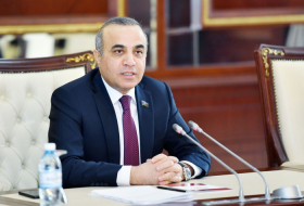  Azay Guliyev thanked Parliament of Romania 