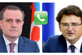   Azerbaijani FM receives phone call from his Ukrainian counterpart  