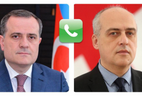   Azerbaijani, Georgian FMs exchange views on strategic partnership relations  