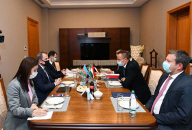   Azerbaijani, Hungarian MFAs holding meeting in expanded format  